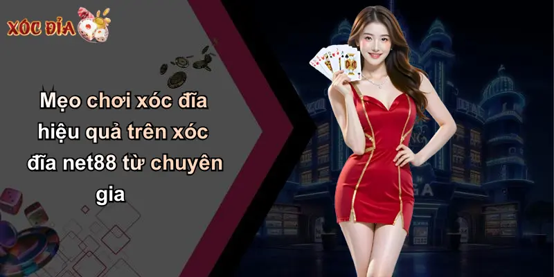 Mẹo chơi xóc đĩa hiệu quả trên xóc đĩa net88 từ chuyên gia