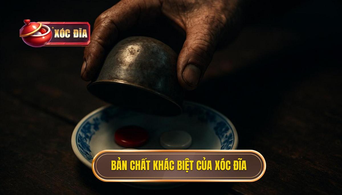 Bản Chất Khác Biệt Của Xóc Đĩa VIP