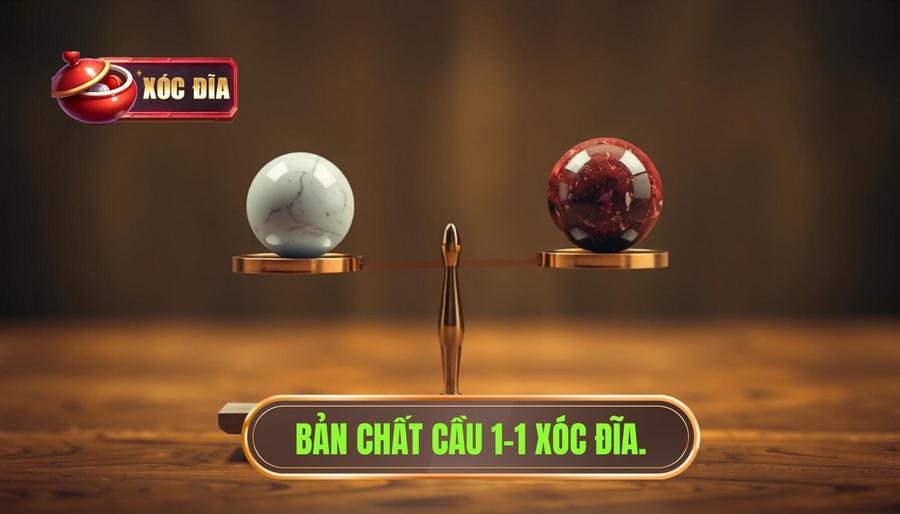 Cầu 1-1 xóc đĩa là gì? Phân tích bản chất cốt lõi