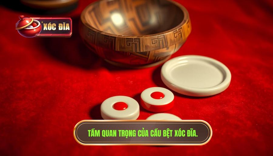 Tại sao cầu bệt xóc đĩa lại quan trọng với người chơi?