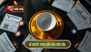 theo dõi cầu xóc đĩa