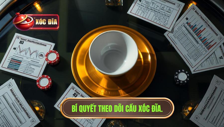 theo dõi cầu xóc đĩa