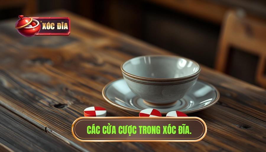Hiểu Về Các Cửa Cược Trong Xóc Đĩa